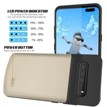 Load image into Gallery viewer, PunkJuice S10 5G Battery Case Gold - Fast Charging Power Juice Bank with 4700mAh
